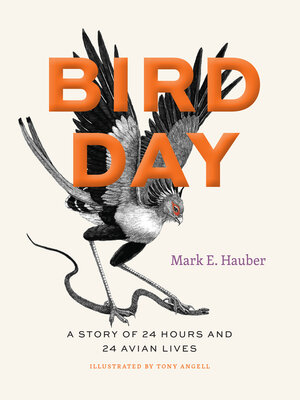 cover image of Bird Day